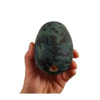 Drahtlose aussenkamera 4G