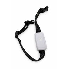 GPS Tracker für Die Hunde