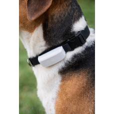 GPS Tracker für Die Hunde