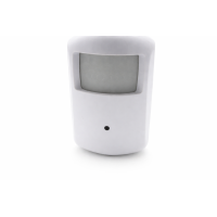 IP Kamera WiFi im Bewegungssensor  Aufzeichnend