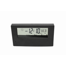IP Kamera in der Wetterstation