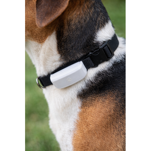 GPS Tracker für Die Hunde