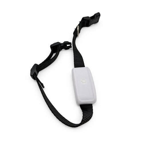 GPS Tracker für Die Hunde
