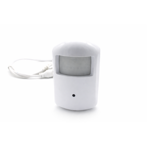 IP Kamera WiFi im Bewegungssensor  Aufzeichnend